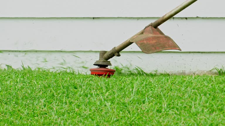 Best Lawn Irrigation Installation and Maintenance  in Thorp, WI