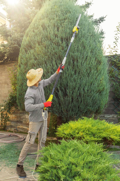 Best Aeration Services  in Thorp, WI